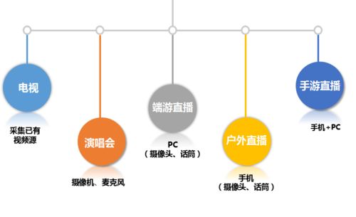 直播平臺(tái)軟件開發(fā)的全流程探索 云豹直播源碼 csdn博客