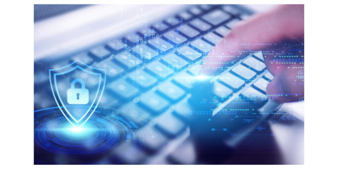 姑蘇區(qū)品質軟件開發(fā)網(wǎng)上價格